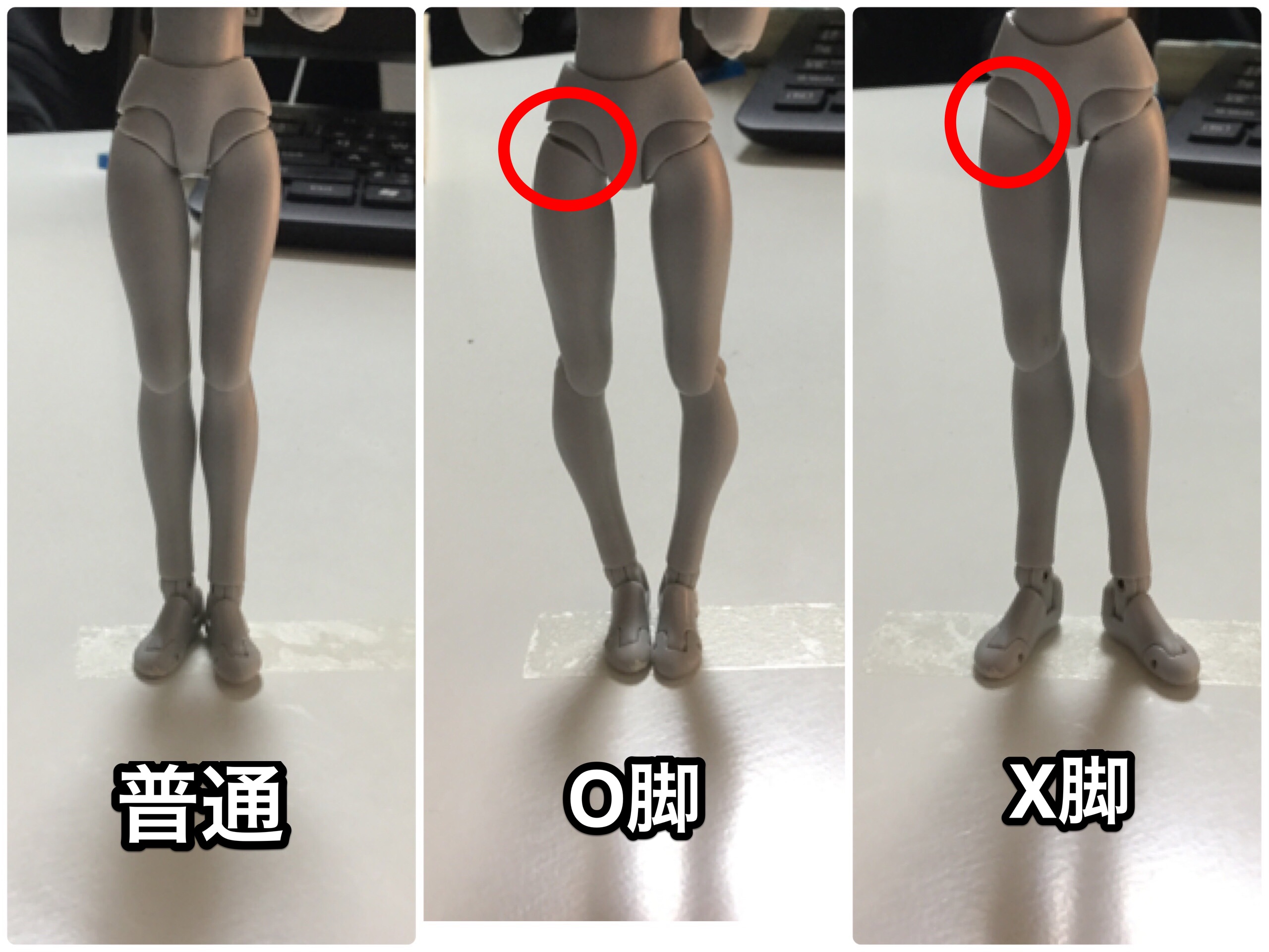 ｏ脚もｘ脚も外反母趾も正しい関節の位置を知ることがまず大事 きこうカイロ施術院